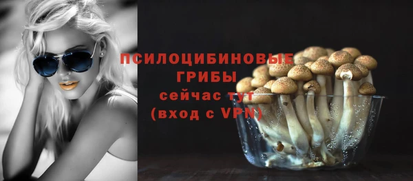 дживик Беломорск