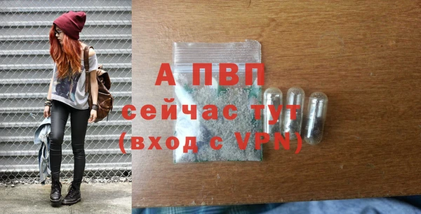 дживик Беломорск