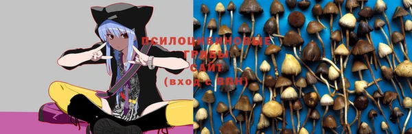 кокаин VHQ Белокуриха