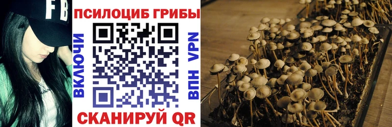 мориарти состав  mega маркетплейс  Куртамыш  продажа наркотиков  Галлюциногенные грибы Psilocybe 